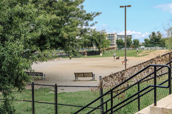 Dog Park at Eugene Simpson Stadium Park